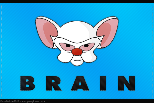 Pinky and The Brain Wallpaper