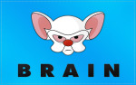 Pinky-And-The-Brain-Flag-Wallpaper-2560x1600-LARGE